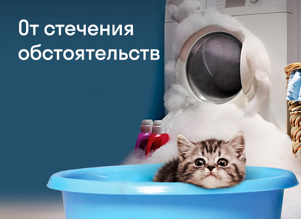 Проверка полиса мигрант